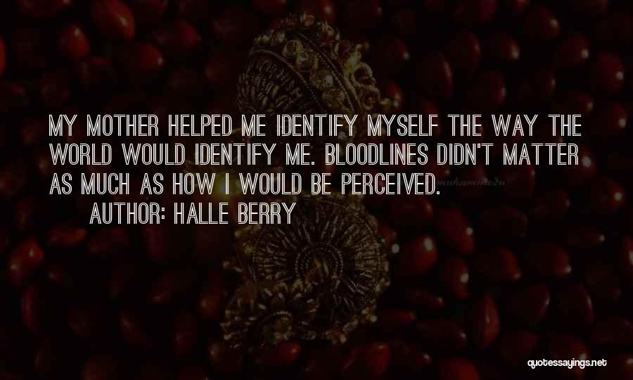 Halle Berry Quotes: My Mother Helped Me Identify Myself The Way The World Would Identify Me. Bloodlines Didn't Matter As Much As How