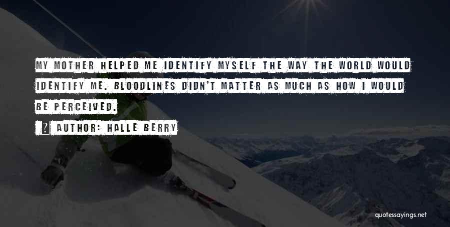 Halle Berry Quotes: My Mother Helped Me Identify Myself The Way The World Would Identify Me. Bloodlines Didn't Matter As Much As How