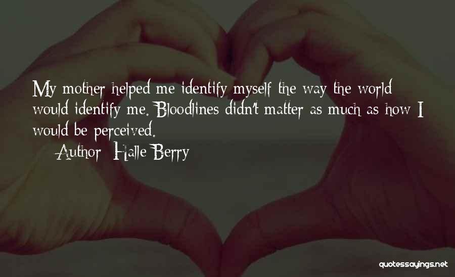 Halle Berry Quotes: My Mother Helped Me Identify Myself The Way The World Would Identify Me. Bloodlines Didn't Matter As Much As How