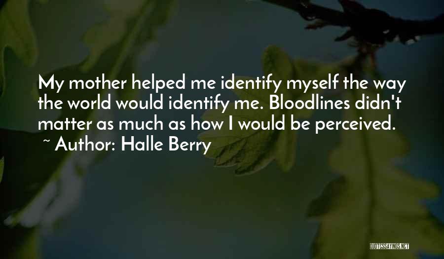 Halle Berry Quotes: My Mother Helped Me Identify Myself The Way The World Would Identify Me. Bloodlines Didn't Matter As Much As How