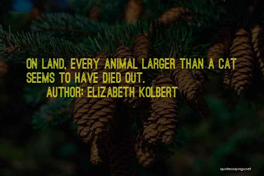 Elizabeth Kolbert Quotes: On Land, Every Animal Larger Than A Cat Seems To Have Died Out.