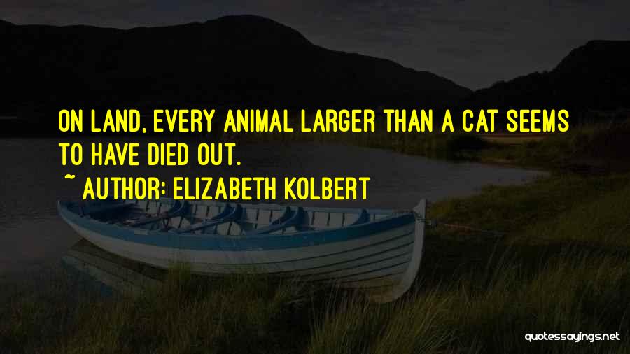 Elizabeth Kolbert Quotes: On Land, Every Animal Larger Than A Cat Seems To Have Died Out.