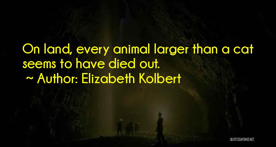 Elizabeth Kolbert Quotes: On Land, Every Animal Larger Than A Cat Seems To Have Died Out.