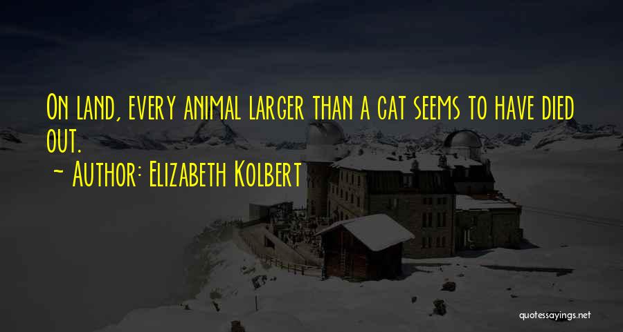 Elizabeth Kolbert Quotes: On Land, Every Animal Larger Than A Cat Seems To Have Died Out.