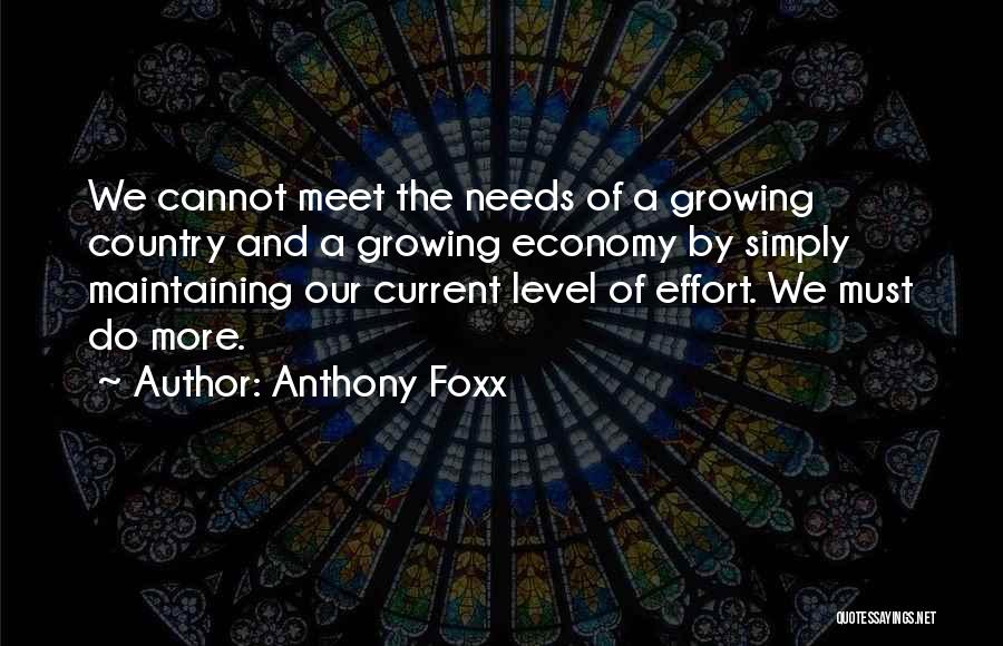 Anthony Foxx Quotes: We Cannot Meet The Needs Of A Growing Country And A Growing Economy By Simply Maintaining Our Current Level Of