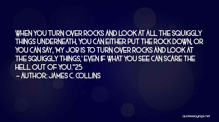 James C. Collins Quotes: When You Turn Over Rocks And Look At All The Squiggly Things Underneath, You Can Either Put The Rock Down,