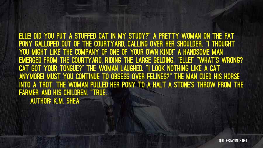 K.M. Shea Quotes: Elle! Did You Put A Stuffed Cat In My Study? A Pretty Woman On The Fat Pony Galloped Out Of