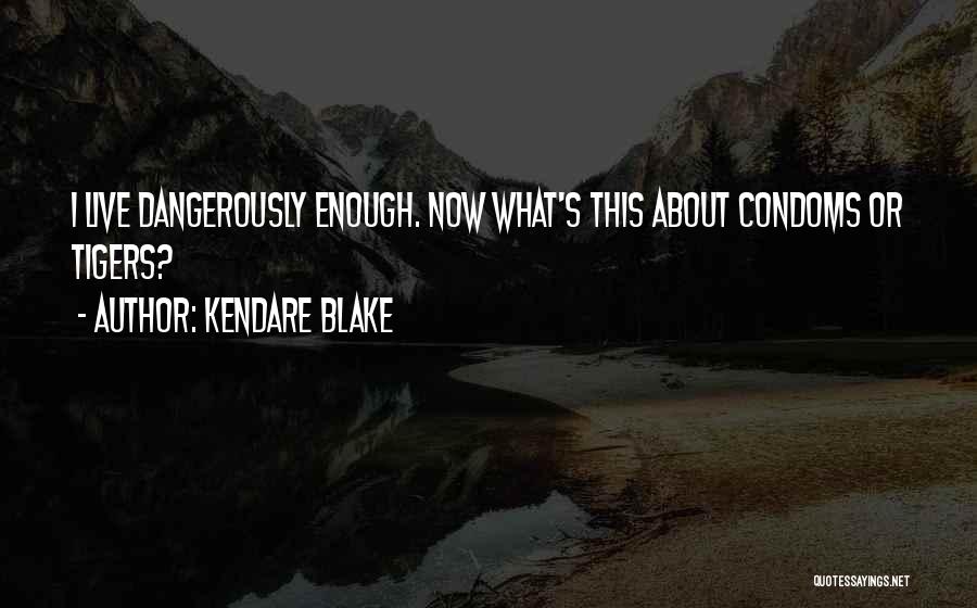 Kendare Blake Quotes: I Live Dangerously Enough. Now What's This About Condoms Or Tigers?