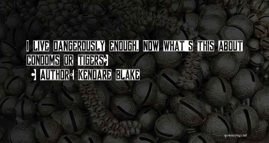 Kendare Blake Quotes: I Live Dangerously Enough. Now What's This About Condoms Or Tigers?