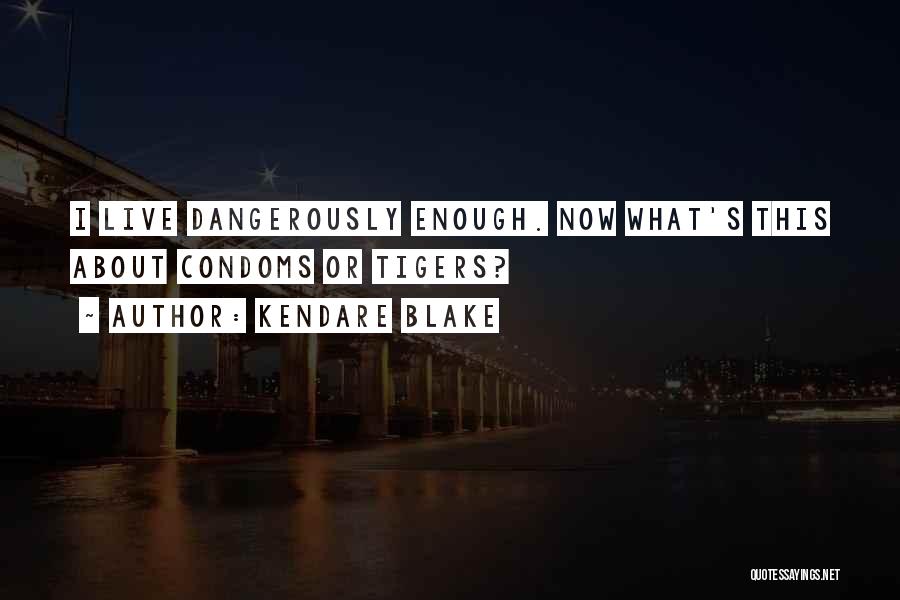 Kendare Blake Quotes: I Live Dangerously Enough. Now What's This About Condoms Or Tigers?