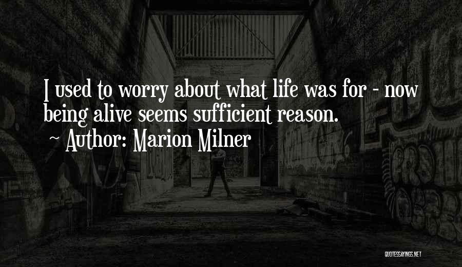 Marion Milner Quotes: I Used To Worry About What Life Was For - Now Being Alive Seems Sufficient Reason.