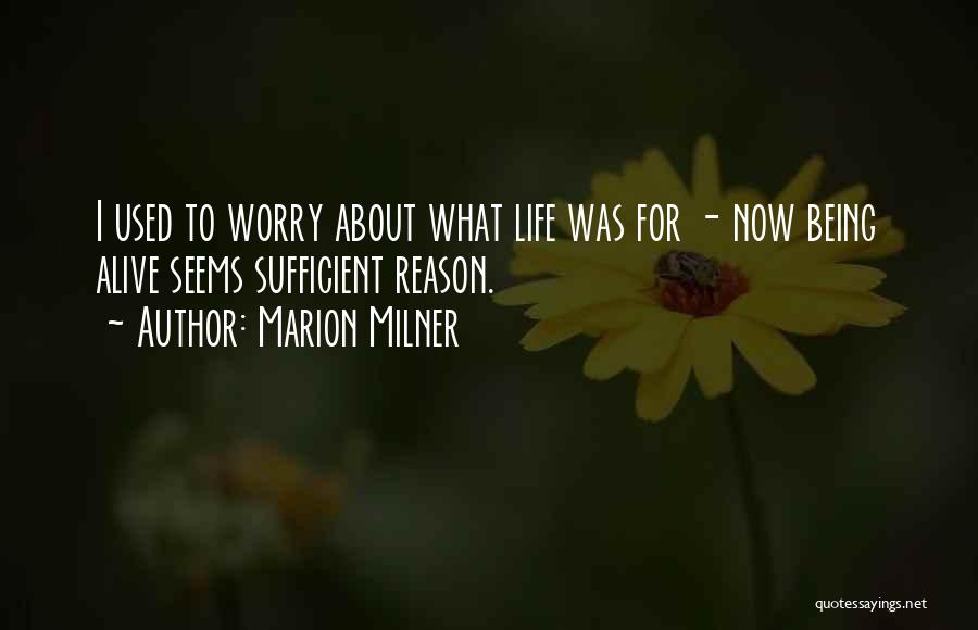 Marion Milner Quotes: I Used To Worry About What Life Was For - Now Being Alive Seems Sufficient Reason.