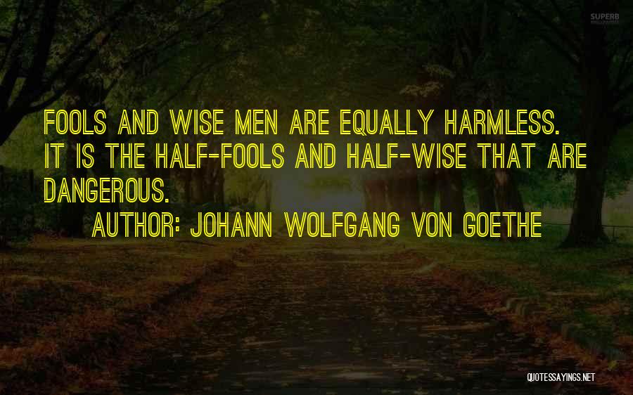 Johann Wolfgang Von Goethe Quotes: Fools And Wise Men Are Equally Harmless. It Is The Half-fools And Half-wise That Are Dangerous.