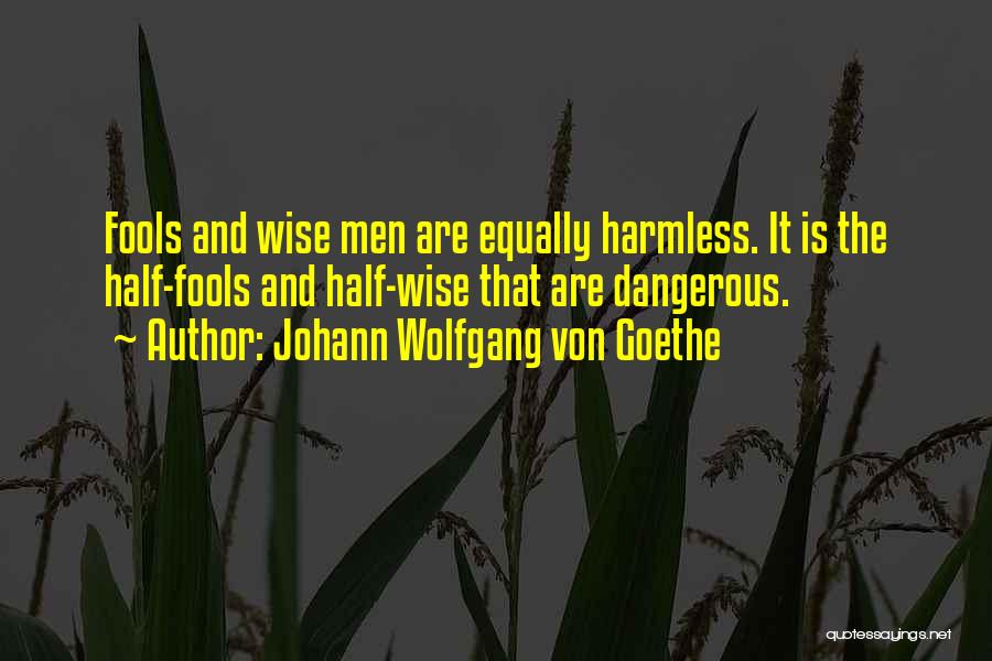 Johann Wolfgang Von Goethe Quotes: Fools And Wise Men Are Equally Harmless. It Is The Half-fools And Half-wise That Are Dangerous.