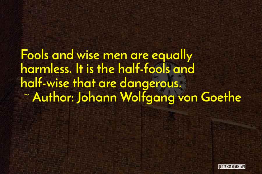 Johann Wolfgang Von Goethe Quotes: Fools And Wise Men Are Equally Harmless. It Is The Half-fools And Half-wise That Are Dangerous.