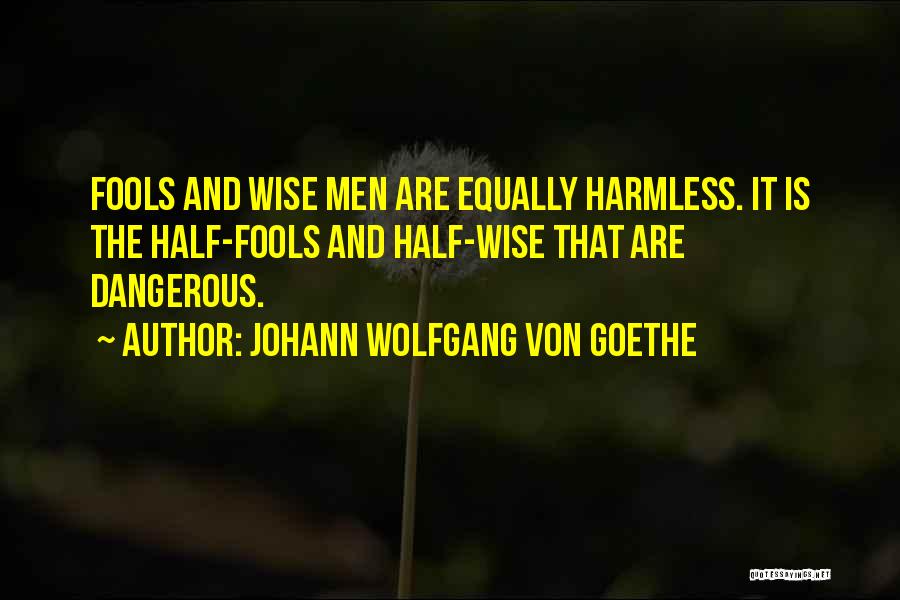 Johann Wolfgang Von Goethe Quotes: Fools And Wise Men Are Equally Harmless. It Is The Half-fools And Half-wise That Are Dangerous.