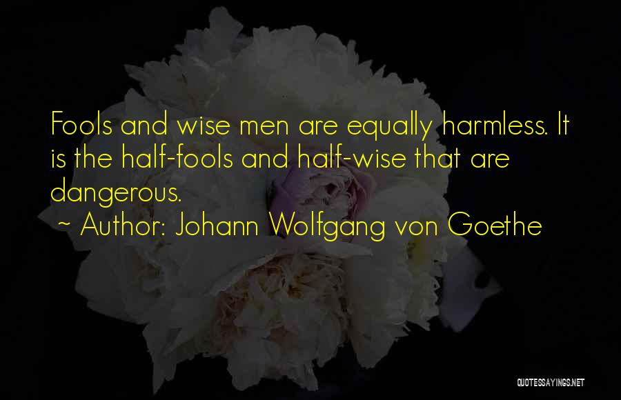 Johann Wolfgang Von Goethe Quotes: Fools And Wise Men Are Equally Harmless. It Is The Half-fools And Half-wise That Are Dangerous.