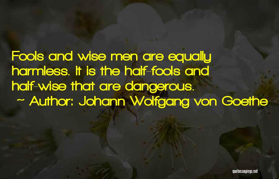 Johann Wolfgang Von Goethe Quotes: Fools And Wise Men Are Equally Harmless. It Is The Half-fools And Half-wise That Are Dangerous.