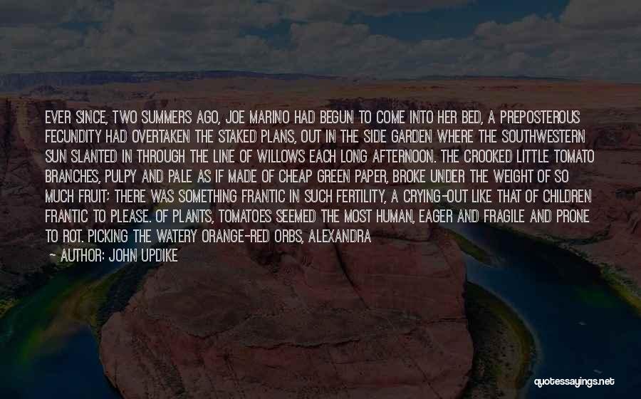 John Updike Quotes: Ever Since, Two Summers Ago, Joe Marino Had Begun To Come Into Her Bed, A Preposterous Fecundity Had Overtaken The