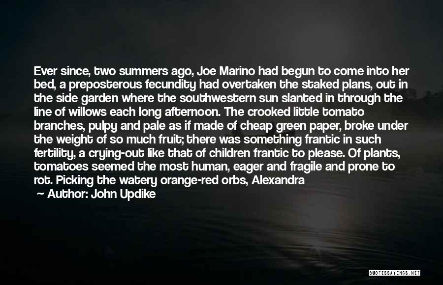 John Updike Quotes: Ever Since, Two Summers Ago, Joe Marino Had Begun To Come Into Her Bed, A Preposterous Fecundity Had Overtaken The