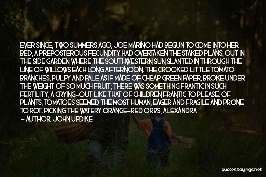 John Updike Quotes: Ever Since, Two Summers Ago, Joe Marino Had Begun To Come Into Her Bed, A Preposterous Fecundity Had Overtaken The