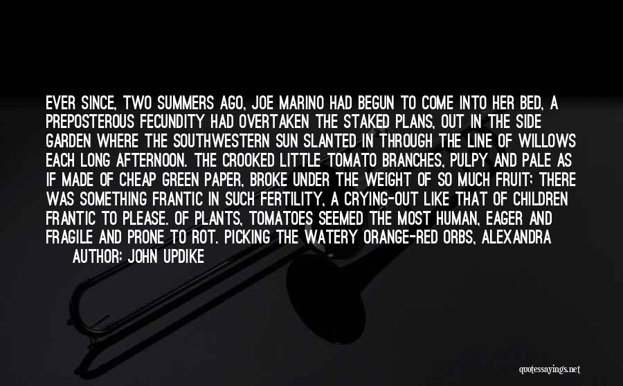 John Updike Quotes: Ever Since, Two Summers Ago, Joe Marino Had Begun To Come Into Her Bed, A Preposterous Fecundity Had Overtaken The