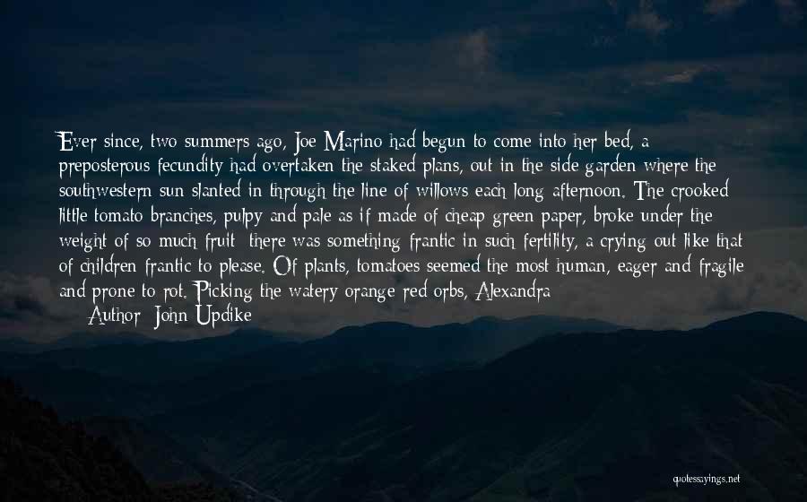 John Updike Quotes: Ever Since, Two Summers Ago, Joe Marino Had Begun To Come Into Her Bed, A Preposterous Fecundity Had Overtaken The