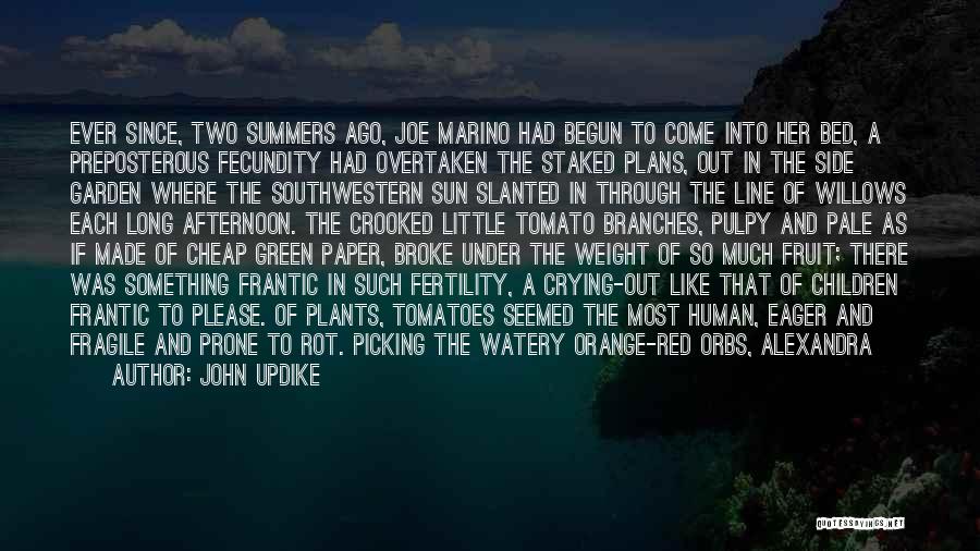 John Updike Quotes: Ever Since, Two Summers Ago, Joe Marino Had Begun To Come Into Her Bed, A Preposterous Fecundity Had Overtaken The