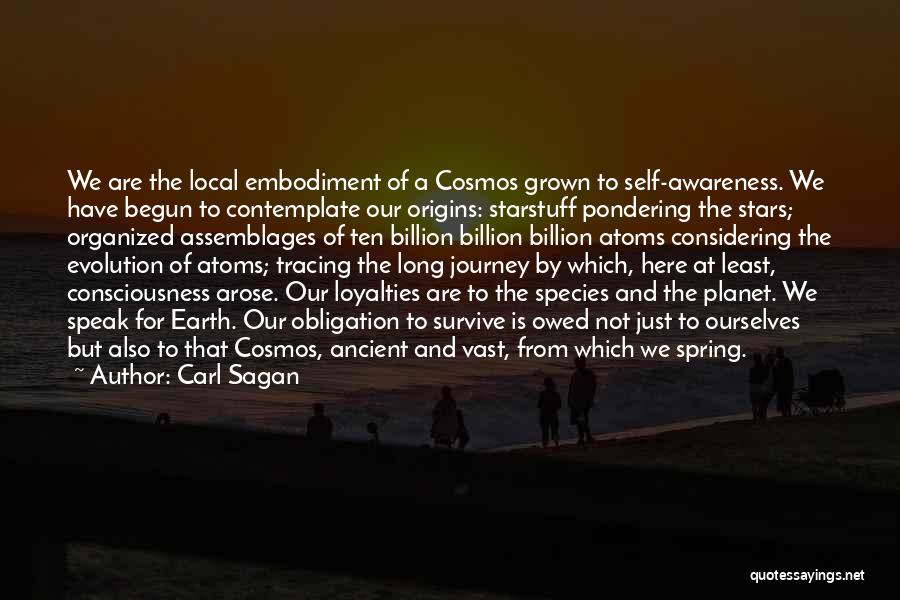 Carl Sagan Quotes: We Are The Local Embodiment Of A Cosmos Grown To Self-awareness. We Have Begun To Contemplate Our Origins: Starstuff Pondering