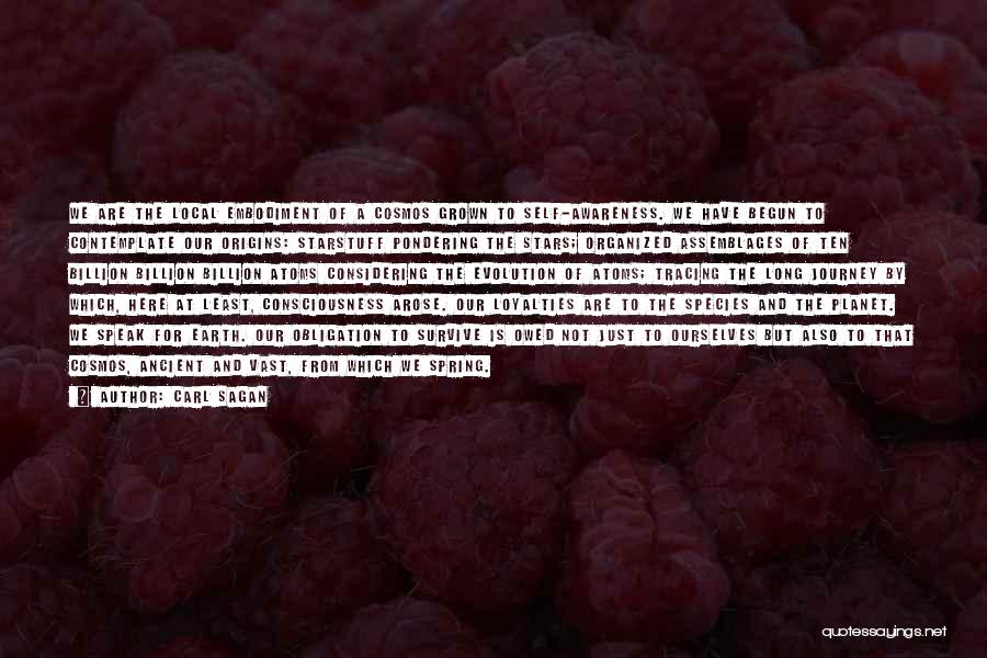 Carl Sagan Quotes: We Are The Local Embodiment Of A Cosmos Grown To Self-awareness. We Have Begun To Contemplate Our Origins: Starstuff Pondering