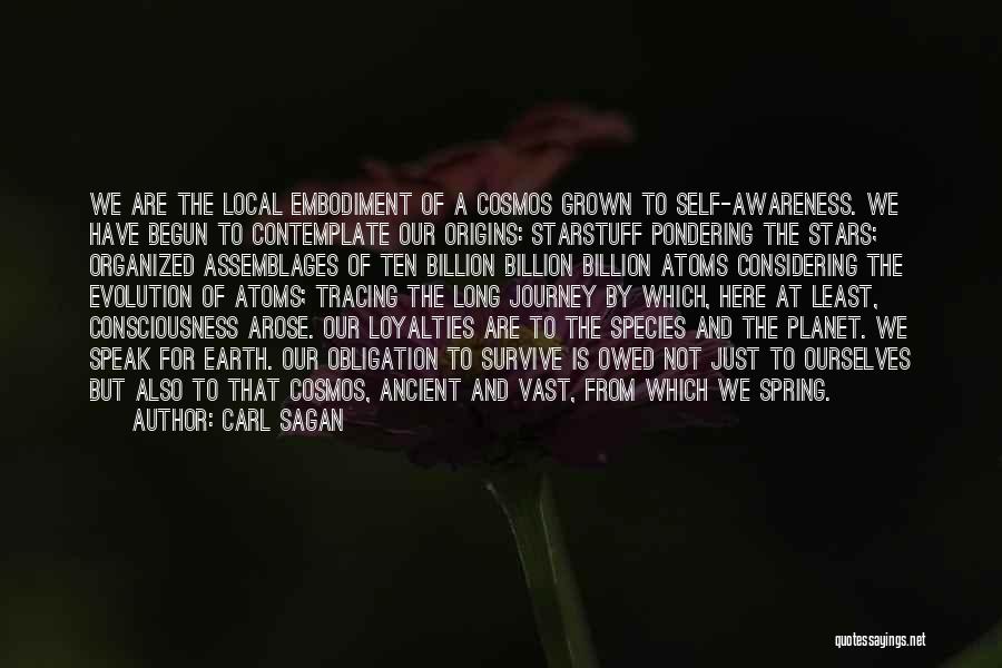 Carl Sagan Quotes: We Are The Local Embodiment Of A Cosmos Grown To Self-awareness. We Have Begun To Contemplate Our Origins: Starstuff Pondering