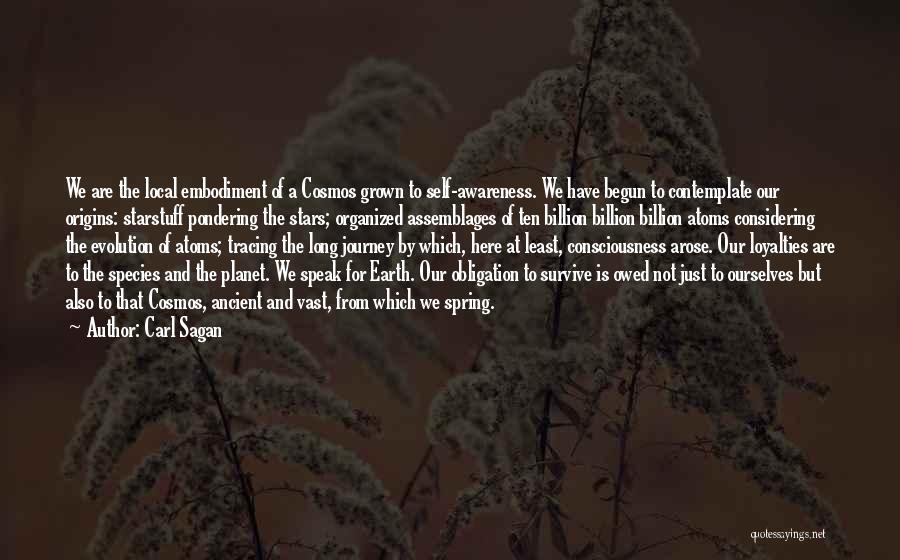 Carl Sagan Quotes: We Are The Local Embodiment Of A Cosmos Grown To Self-awareness. We Have Begun To Contemplate Our Origins: Starstuff Pondering