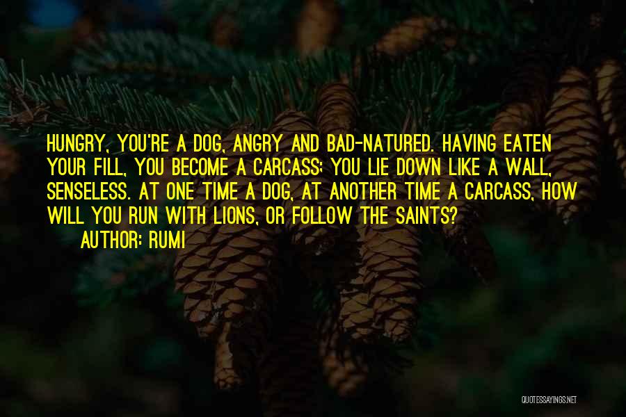 Rumi Quotes: Hungry, You're A Dog, Angry And Bad-natured. Having Eaten Your Fill, You Become A Carcass; You Lie Down Like A