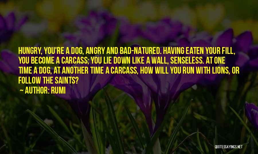 Rumi Quotes: Hungry, You're A Dog, Angry And Bad-natured. Having Eaten Your Fill, You Become A Carcass; You Lie Down Like A