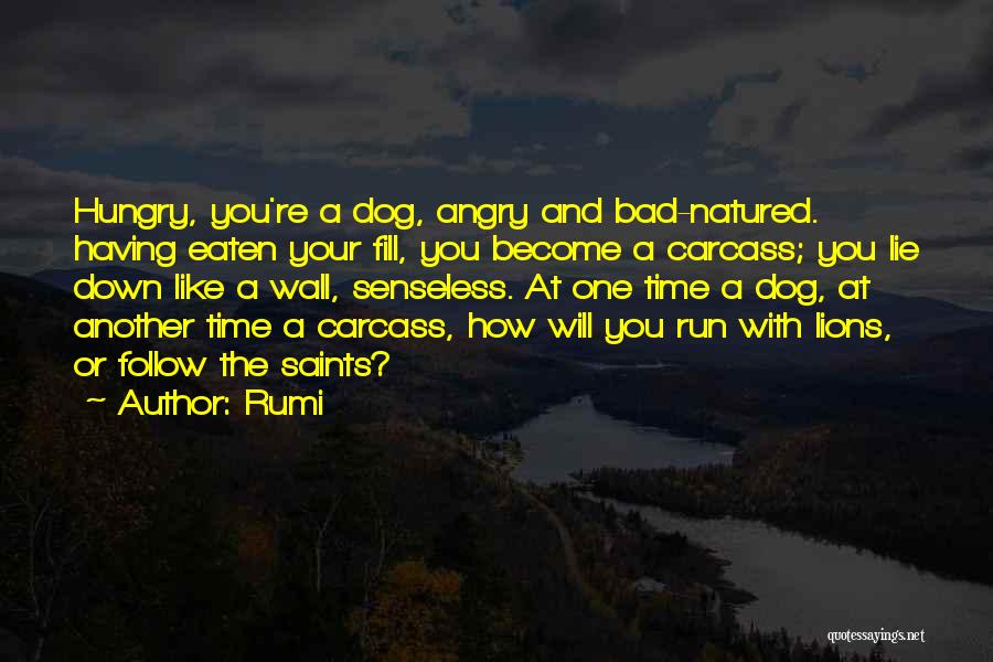 Rumi Quotes: Hungry, You're A Dog, Angry And Bad-natured. Having Eaten Your Fill, You Become A Carcass; You Lie Down Like A