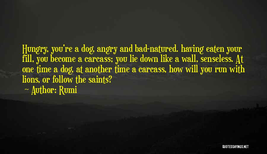 Rumi Quotes: Hungry, You're A Dog, Angry And Bad-natured. Having Eaten Your Fill, You Become A Carcass; You Lie Down Like A