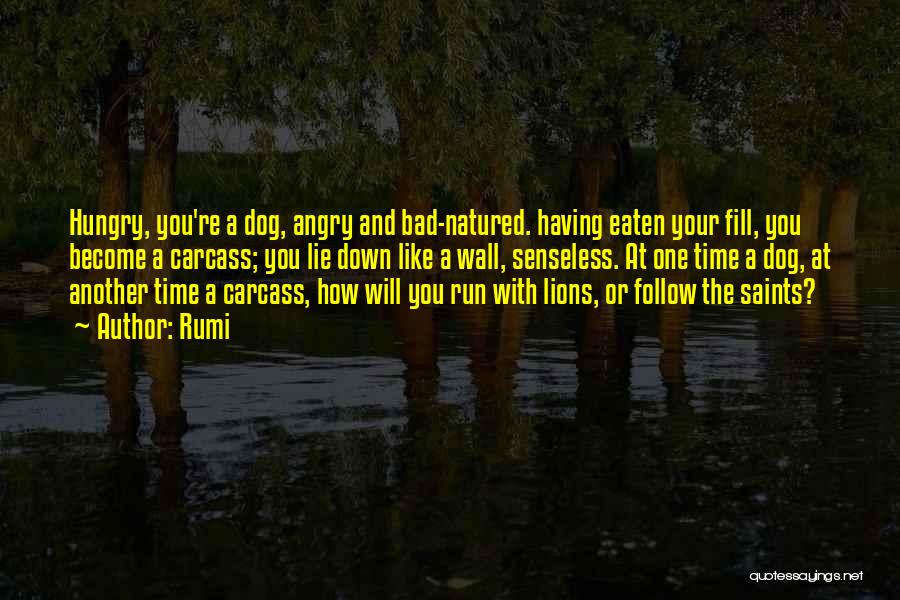 Rumi Quotes: Hungry, You're A Dog, Angry And Bad-natured. Having Eaten Your Fill, You Become A Carcass; You Lie Down Like A