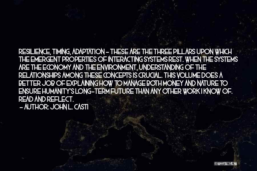 John L. Casti Quotes: Resilience, Timing, Adaptation - These Are The Three Pillars Upon Which The Emergent Properties Of Interacting Systems Rest. When The