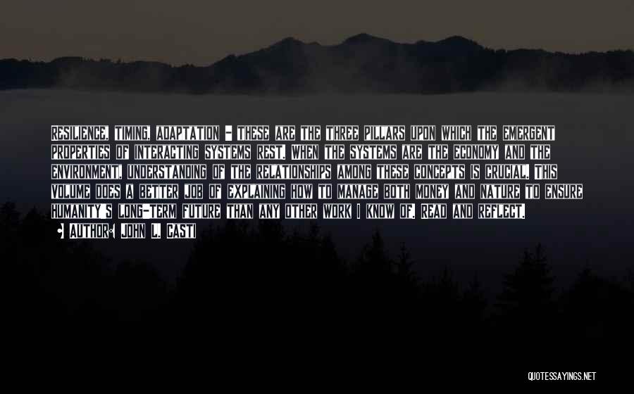 John L. Casti Quotes: Resilience, Timing, Adaptation - These Are The Three Pillars Upon Which The Emergent Properties Of Interacting Systems Rest. When The