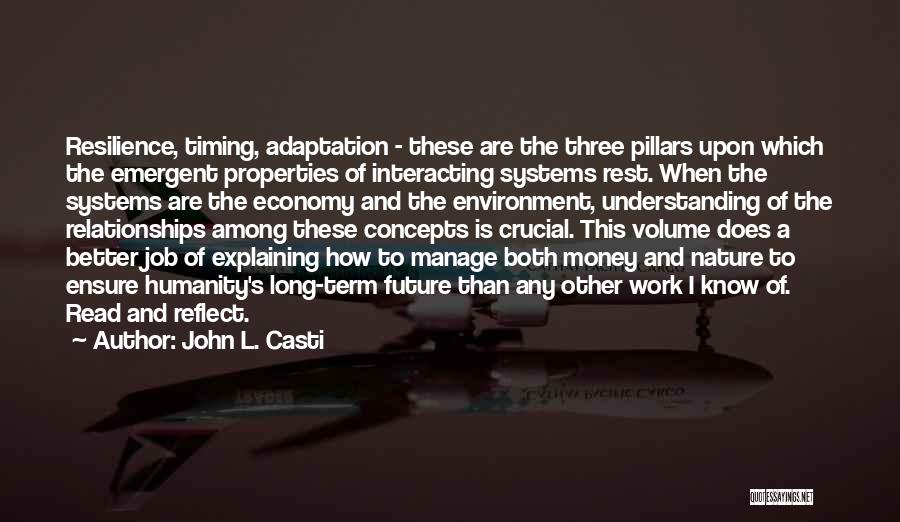 John L. Casti Quotes: Resilience, Timing, Adaptation - These Are The Three Pillars Upon Which The Emergent Properties Of Interacting Systems Rest. When The