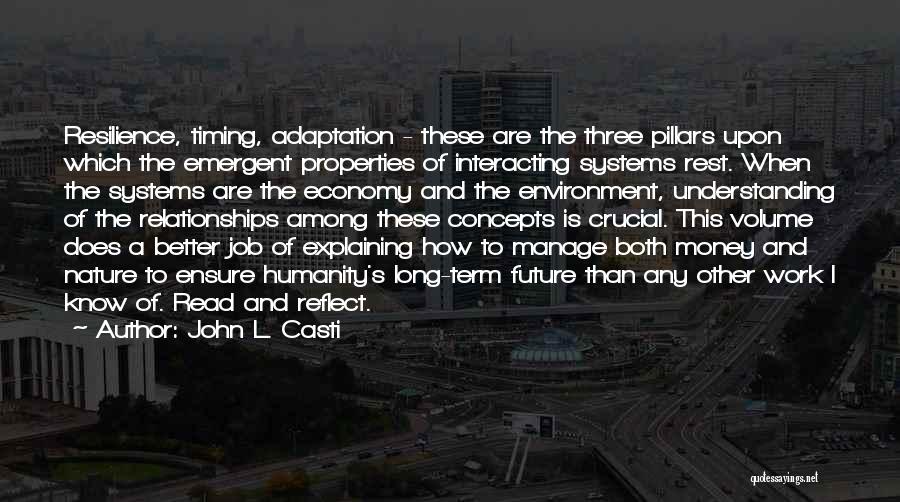 John L. Casti Quotes: Resilience, Timing, Adaptation - These Are The Three Pillars Upon Which The Emergent Properties Of Interacting Systems Rest. When The