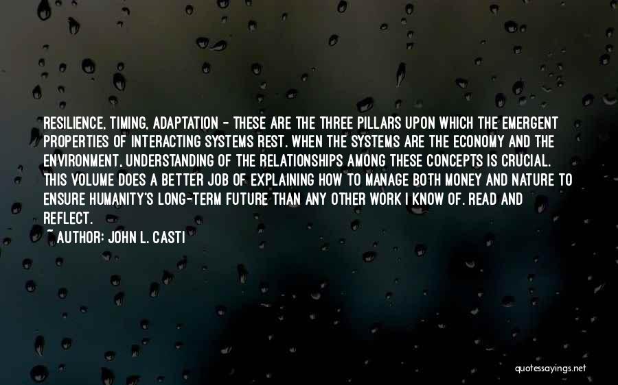 John L. Casti Quotes: Resilience, Timing, Adaptation - These Are The Three Pillars Upon Which The Emergent Properties Of Interacting Systems Rest. When The