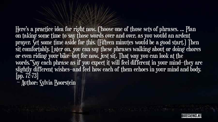 Sylvia Boorstein Quotes: Here's A Practice Idea For Right Now. Choose One Of Those Sets Of Phrases. ... Plan On Taking Some Time