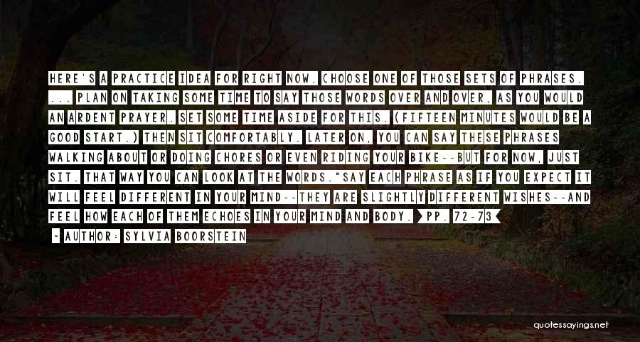 Sylvia Boorstein Quotes: Here's A Practice Idea For Right Now. Choose One Of Those Sets Of Phrases. ... Plan On Taking Some Time