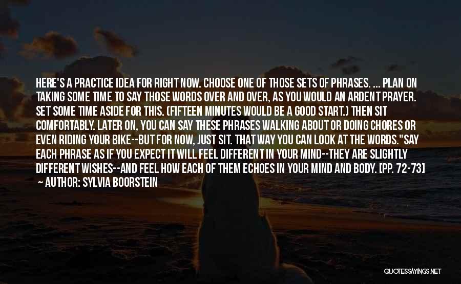 Sylvia Boorstein Quotes: Here's A Practice Idea For Right Now. Choose One Of Those Sets Of Phrases. ... Plan On Taking Some Time