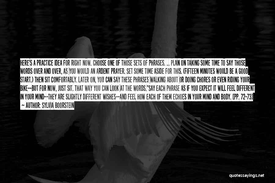 Sylvia Boorstein Quotes: Here's A Practice Idea For Right Now. Choose One Of Those Sets Of Phrases. ... Plan On Taking Some Time