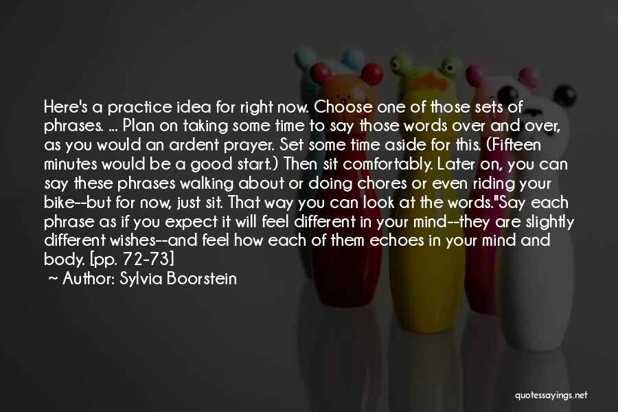 Sylvia Boorstein Quotes: Here's A Practice Idea For Right Now. Choose One Of Those Sets Of Phrases. ... Plan On Taking Some Time