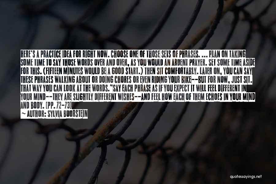 Sylvia Boorstein Quotes: Here's A Practice Idea For Right Now. Choose One Of Those Sets Of Phrases. ... Plan On Taking Some Time