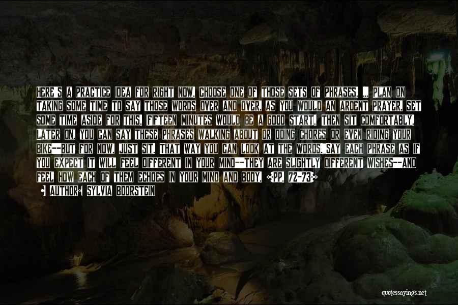 Sylvia Boorstein Quotes: Here's A Practice Idea For Right Now. Choose One Of Those Sets Of Phrases. ... Plan On Taking Some Time