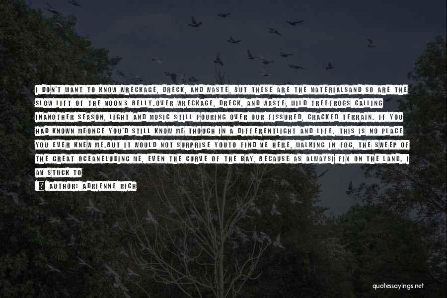 Adrienne Rich Quotes: I Don't Want To Know Wreckage, Dreck, And Waste, But These Are The Materialsand So Are The Slow Lift Of